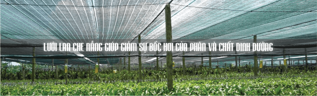 Lưới Chậu Lợi Dân