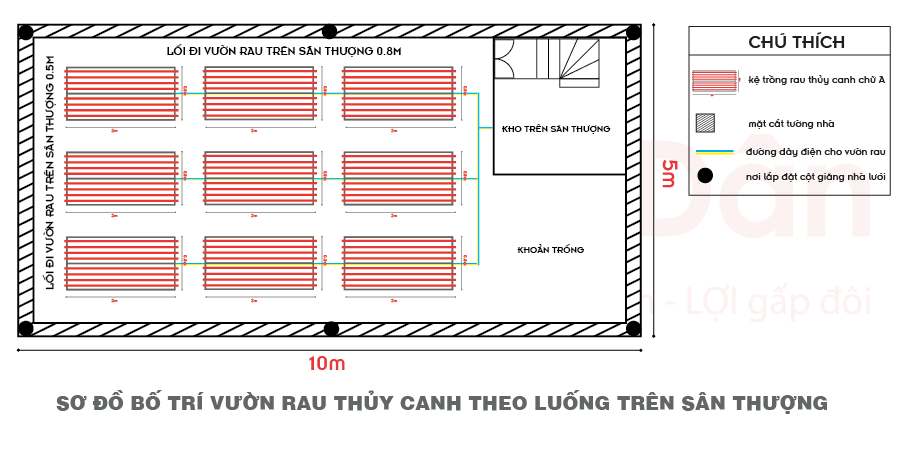 Sơ đồ bố trí vườn rau thủy canh trên sân thượng theo luống.