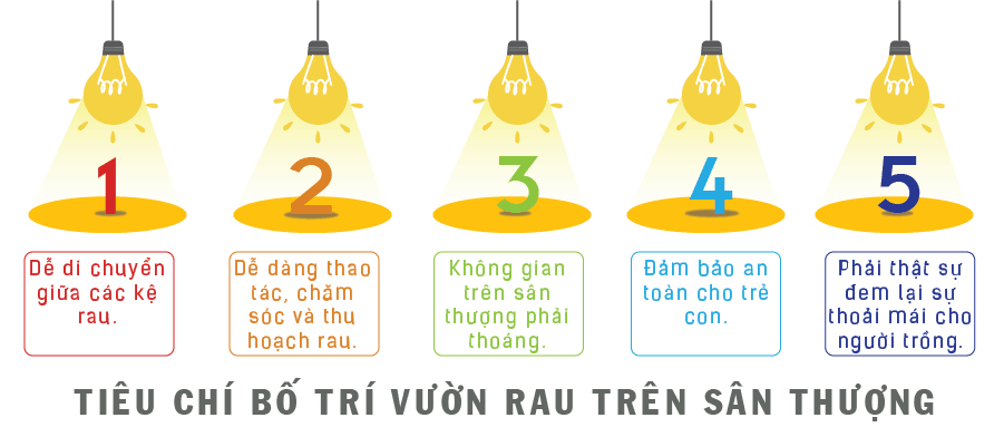 Các tiêu chí khi bố trí vườn rau sạch trên sân thượng.