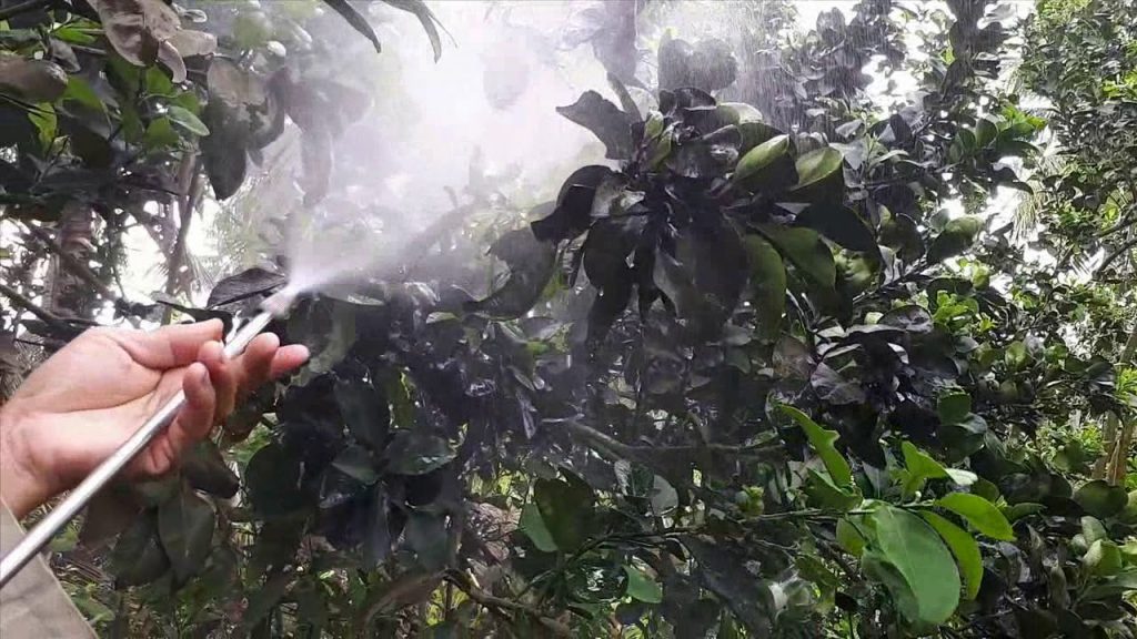 Lưới Chậu Lợi Dân