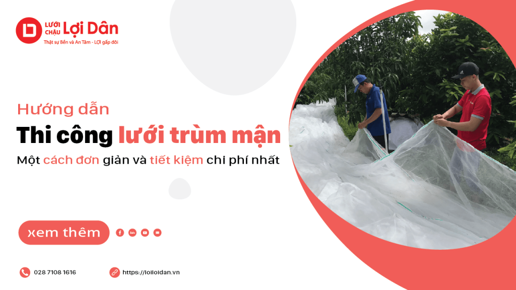 huong dan thi cong luoi trum vuon man