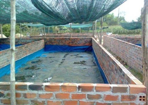 Lưới Chậu Lợi Dân