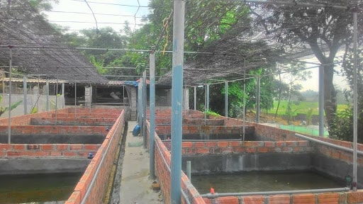 Lưới Chậu Lợi Dân