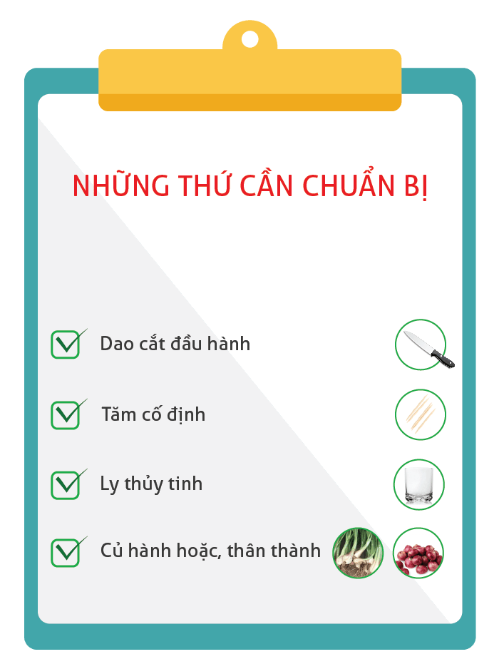 Những thứ cần chuẩn bị khi trồng hành lá thủy canh.