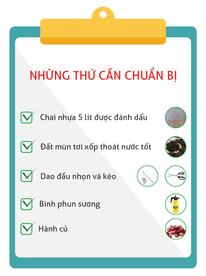 Những thứ cần chuẩn bị khi trồng hành lá trong chai nhựa.