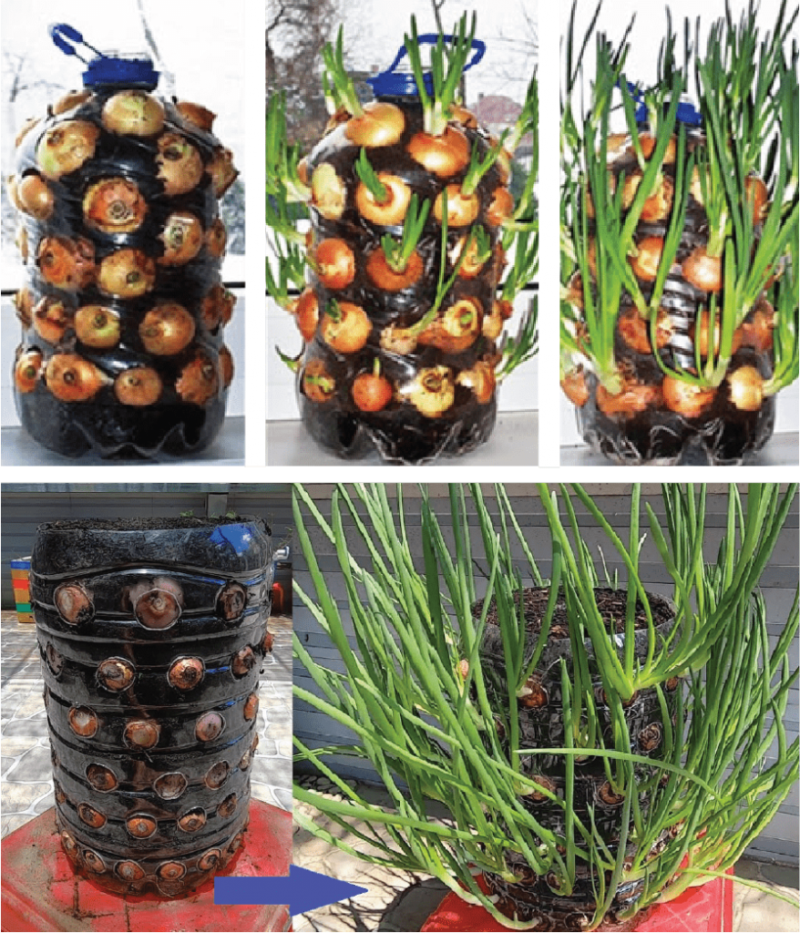 Lưới Chậu Lợi Dân