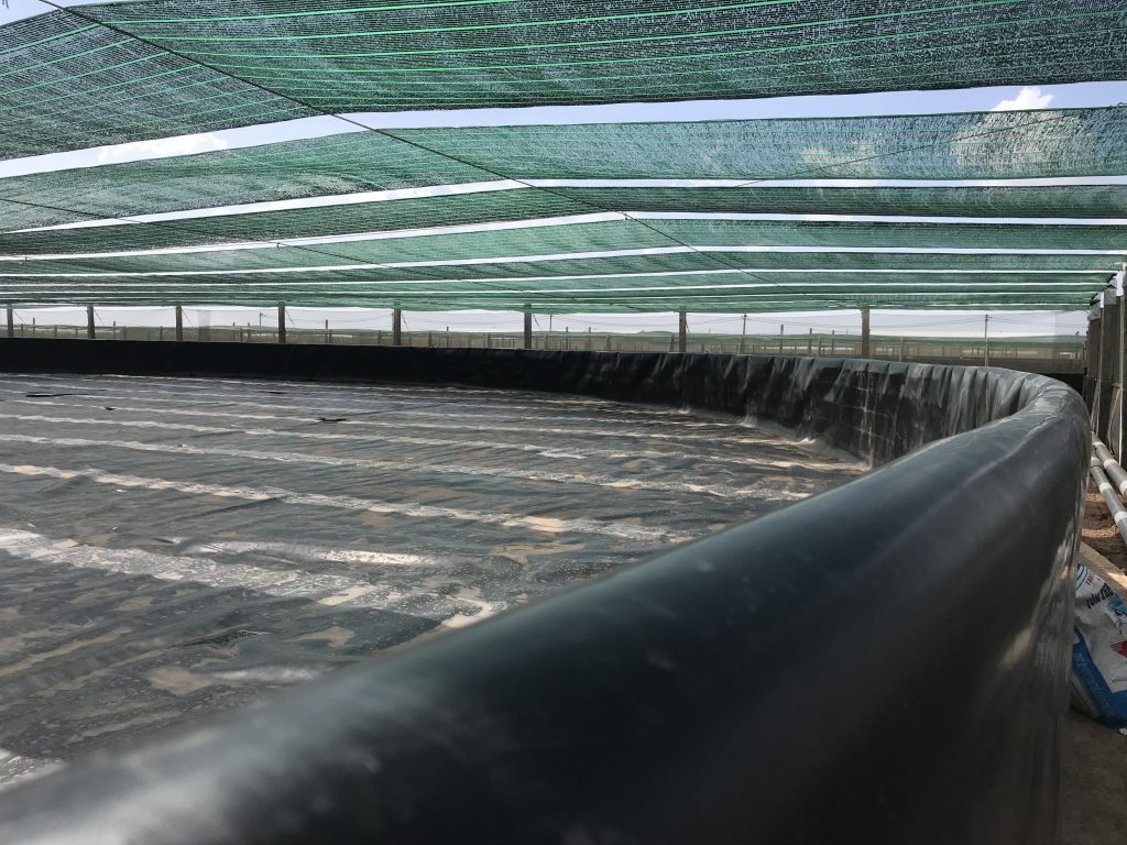 Lưới Chậu Lợi Dân