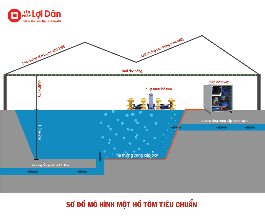 Mô hình nuôi tôm công nghệ cao tiêu chuẩn.