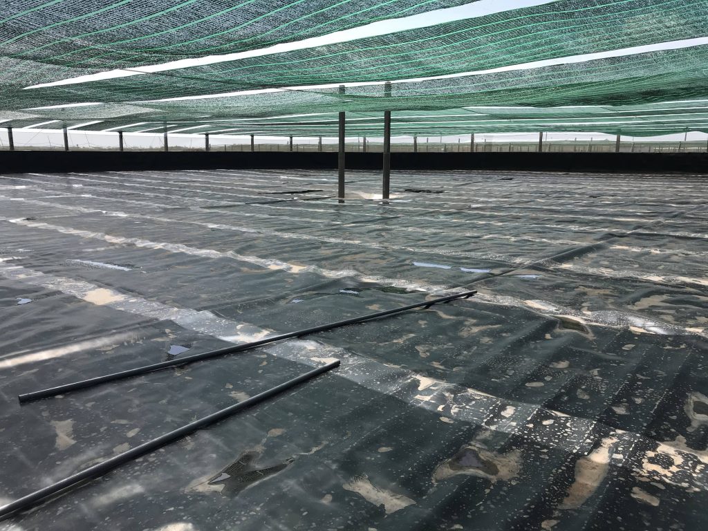 Lưới Chậu Lợi Dân