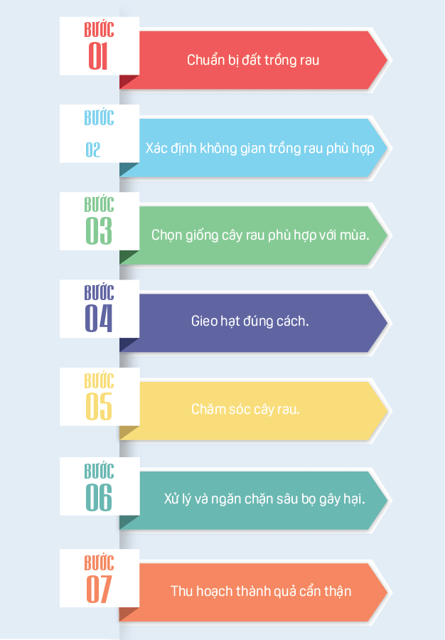 7 bước trồng rau tại nhà hiệu quả, tươi tốt.