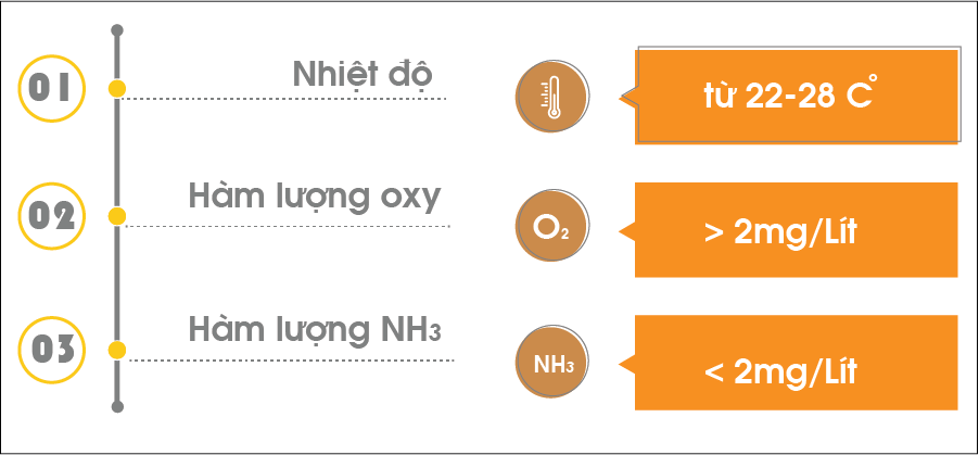 Điều kiện sống của lươn.