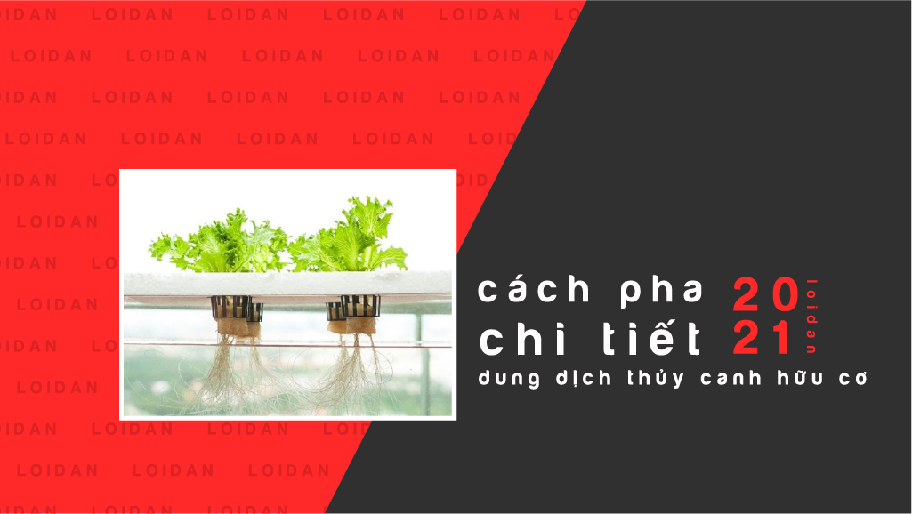 pha dung dich thuy canh huu co 02 03