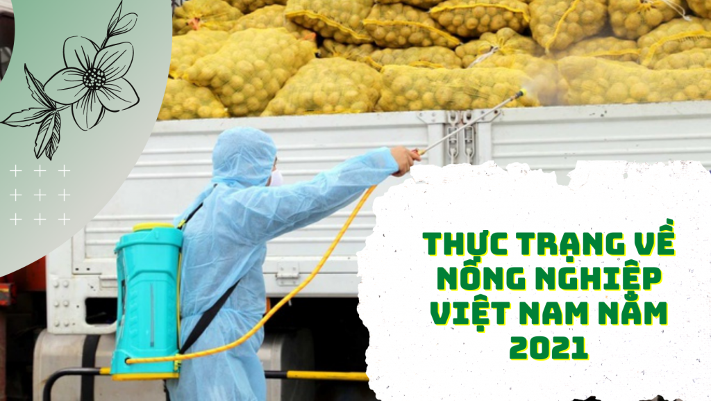 Thuc trang ve nong nghiep Viet Nam nam 2021