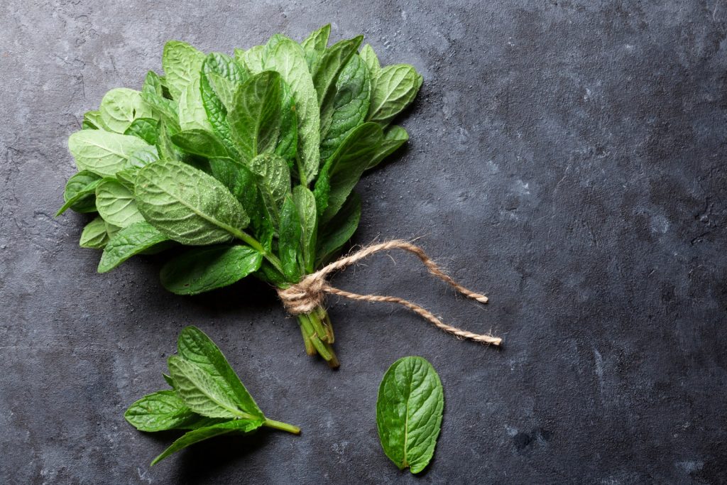 Lưới Chậu Lợi Dân