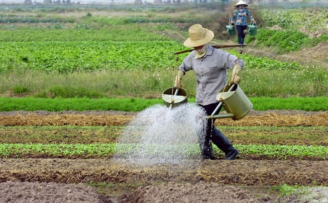 Ảnh hưởng của Dịch covid đến nông nghiệp