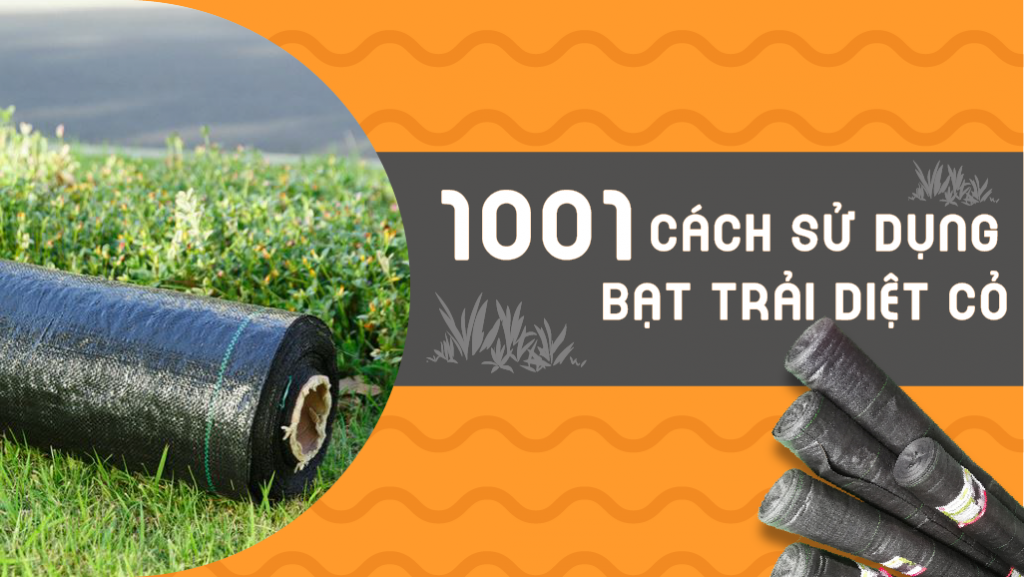 su dung bat trai diet co 02