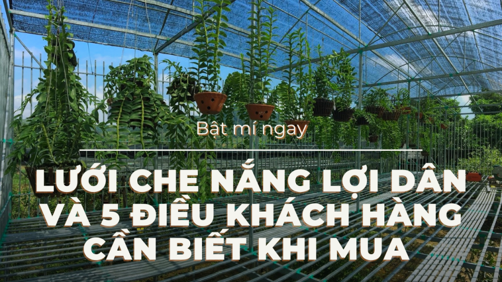 Lưới Chậu Lợi Dân