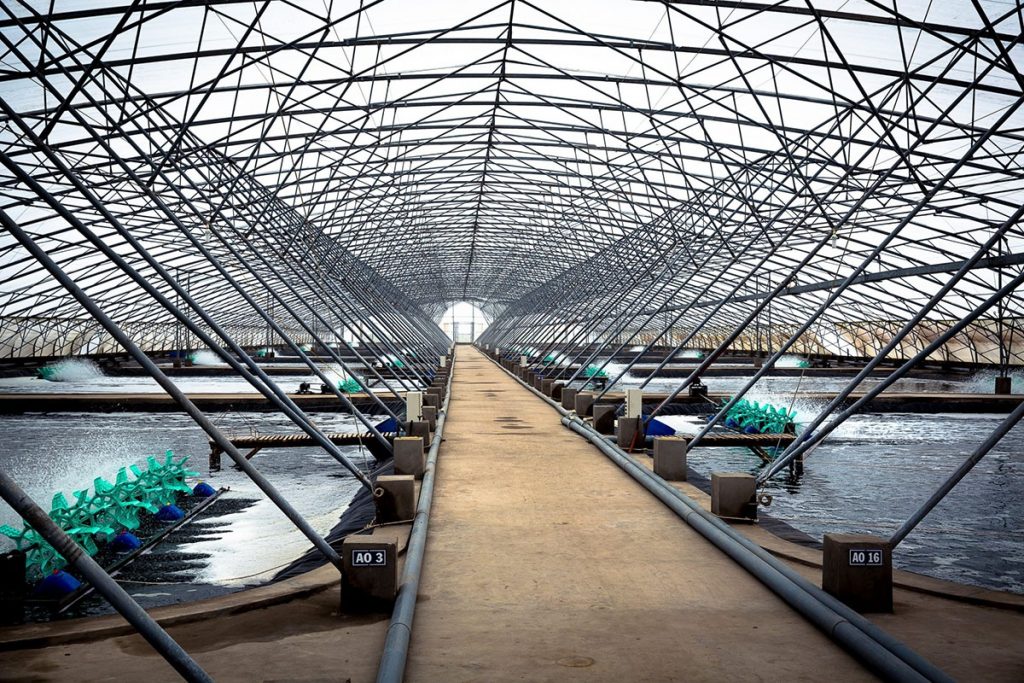 Lưới Chậu Lợi Dân