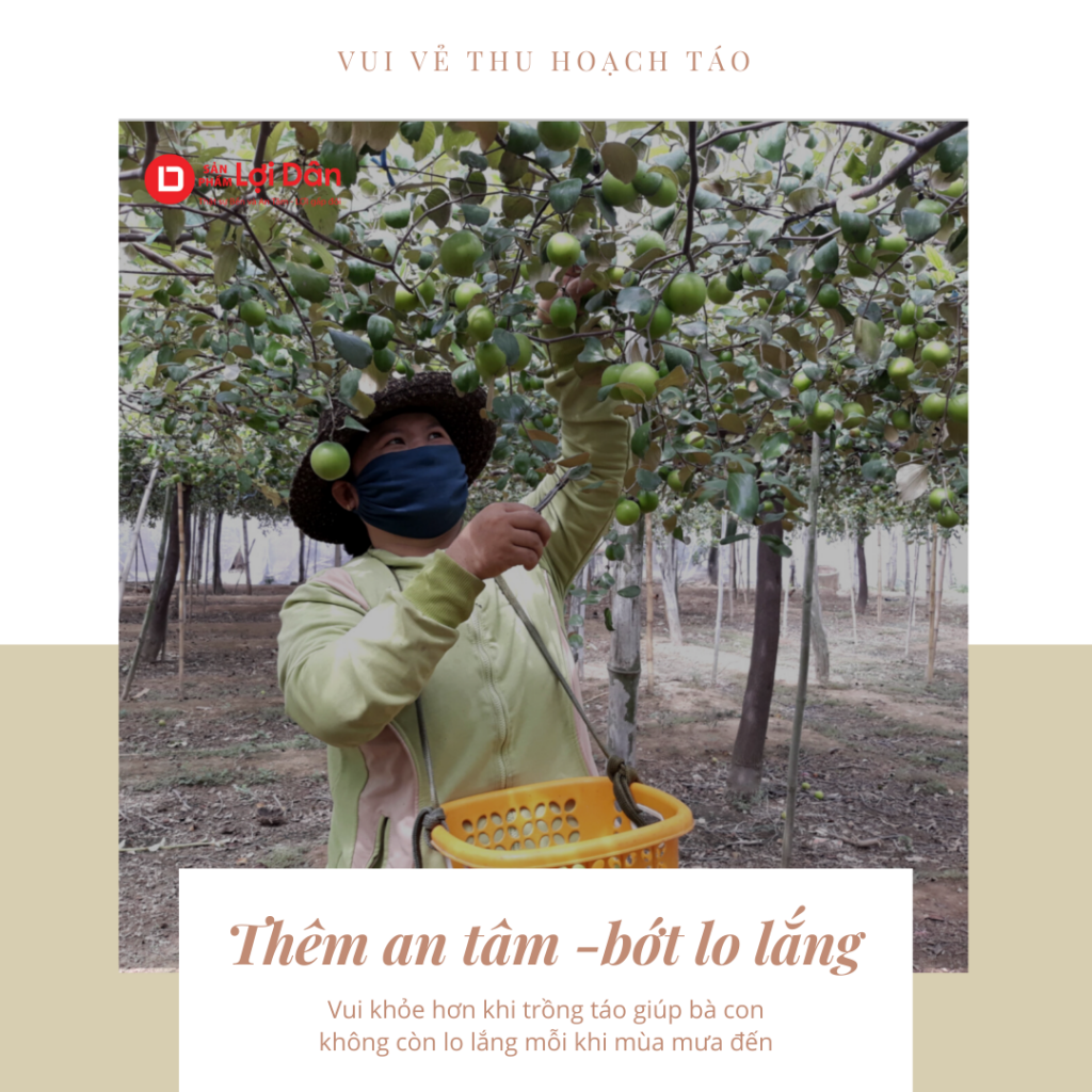 Lưới Chậu Lợi Dân