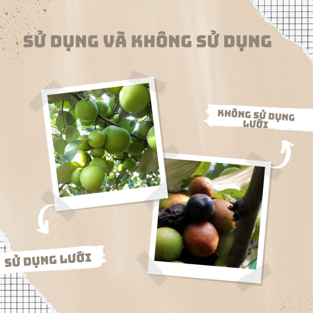 Lưới Chậu Lợi Dân