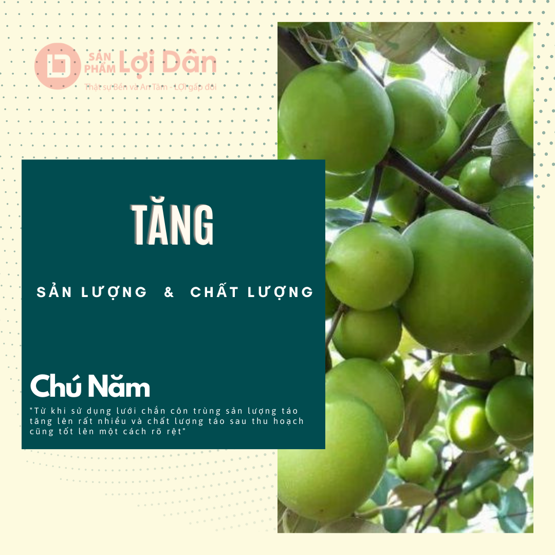 Giúp chất lượng và sản lượng tăng cao.