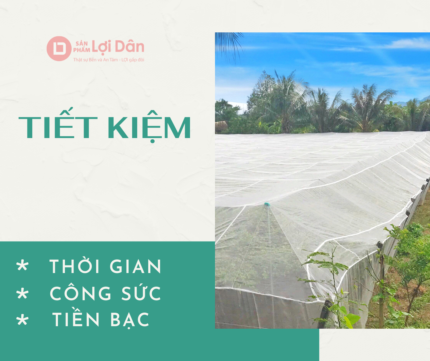 Tiết kiệm hơn khi sử dụng lưới chắn côn trùng.