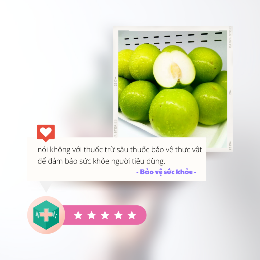 Lưới Chậu Lợi Dân