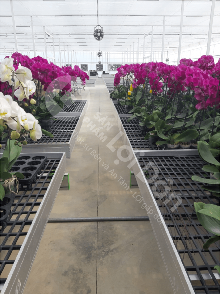 Lưới Chậu Lợi Dân