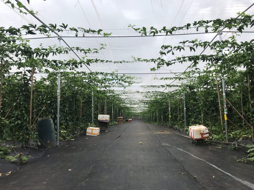 Lưới Chậu Lợi Dân