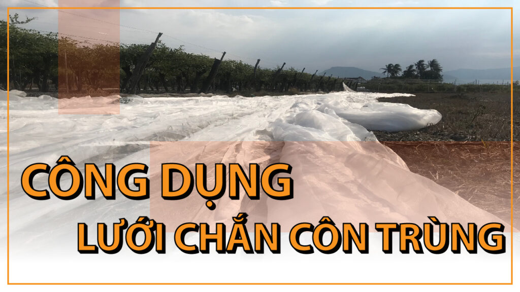 Những Công Dụng Lưới Chắn Côn Trùng 5 Hoi dap 1 01