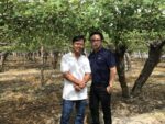 Lưới mận Landingpage 1 Luoi Tao 4
