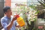 Kiến thức Nhà Nông 46 Trong lan thu choi tr ng lan 1534333364 width615height410