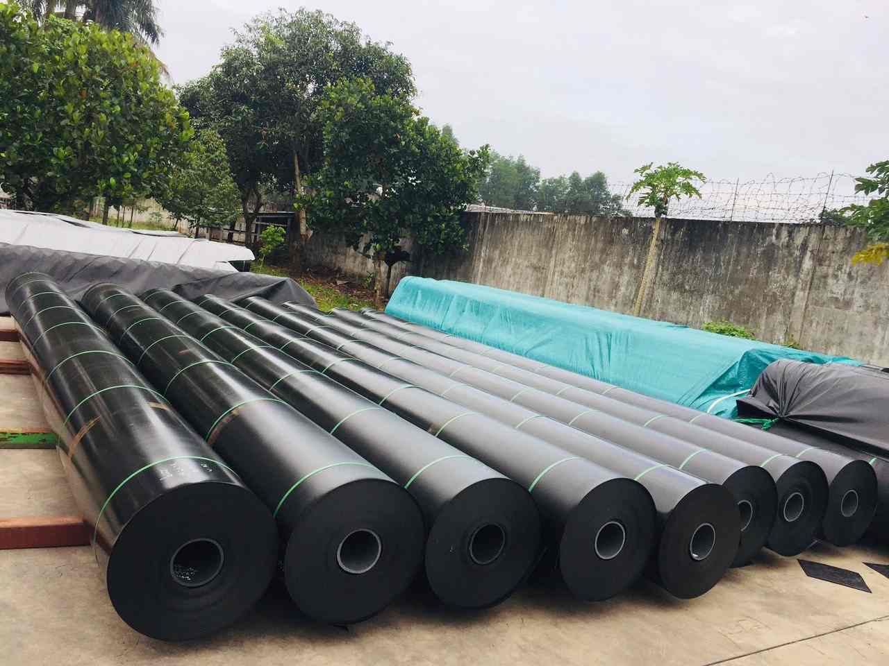 Màng chống thấm HDPE dạng cuộn