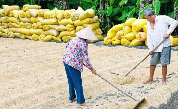 Lưới để phơi nông sản