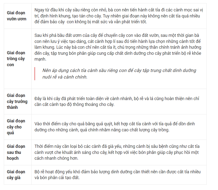 Một số lưu ý về tỉa cành khi trồng sầu riêng
