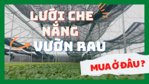 Lưới che nắng trồng rau mua ở đâu ?