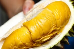 Quả sầu riêng musang king với màu sắc khá đẹp mắt