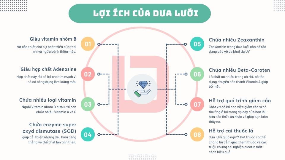 infographic Lợi ích của dưa lưới