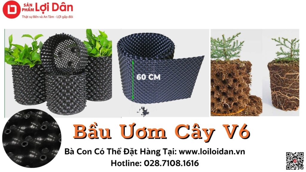 Hướng dẫn cách sử dụng bầu ươm