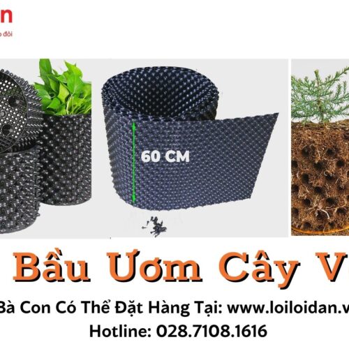 Hướng dẫn cách sử dụng bầu ươm