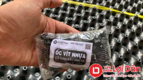 tui oc co dinh bau uom v6