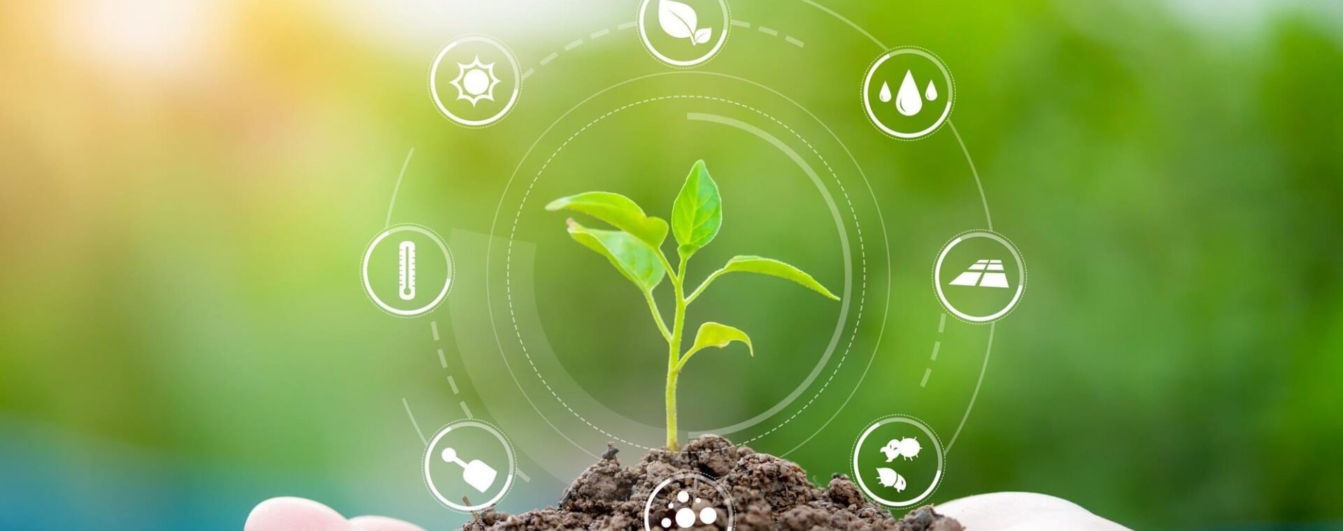Sản phẩm Lợi Dân 50 background 2