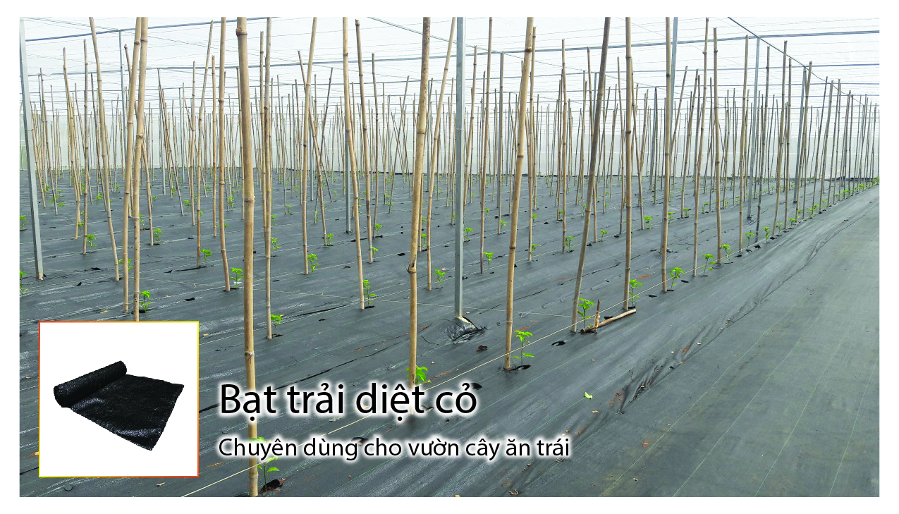 bạt trải-06 - Lưới Chậu Lợi Dân