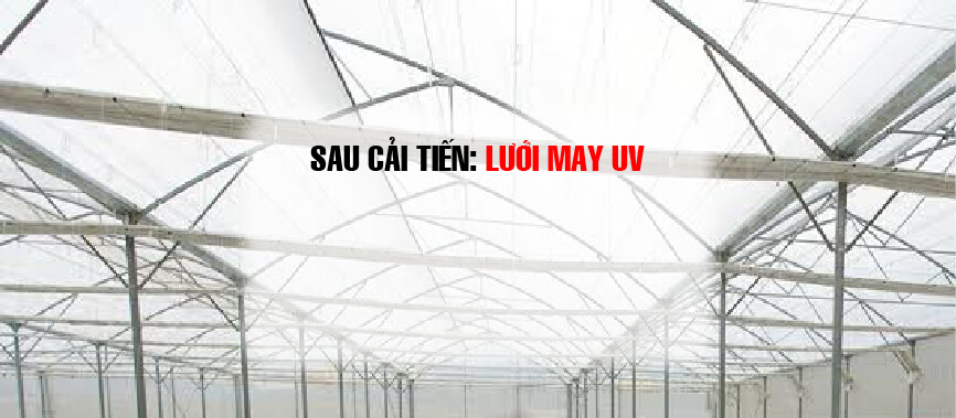 luoi may UV 2