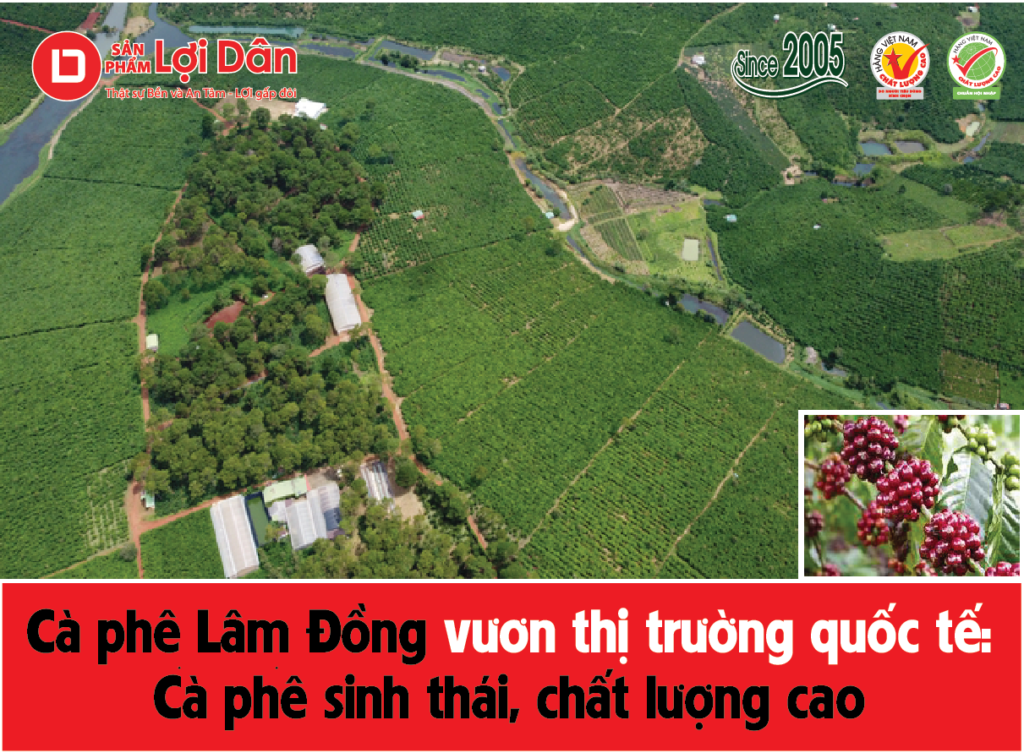 Trang trại trồng cà phê 111ha của gia đình ông Nguyễn Bình Đông tại xã Lộc Ngãi, huyện Bảo Lâm, Lâm Đồng. Ảnh: Minh Hậu