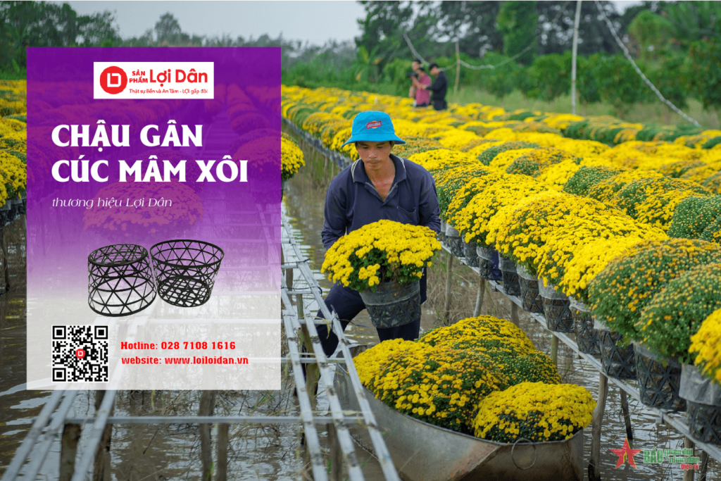 Xếp Chậu Theo luống hoặc theo giàn để tiện chăm sóc