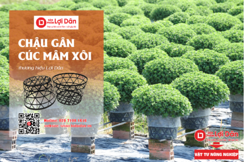 thiet ke gadian 33 copy 5