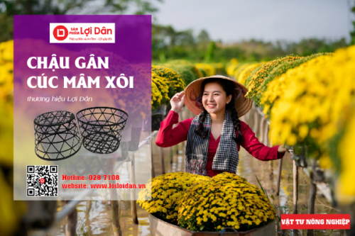 thiet ke gadian 33 copy 9