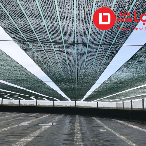 Lưới che nắng Thái Lan Golden Sun 9 15