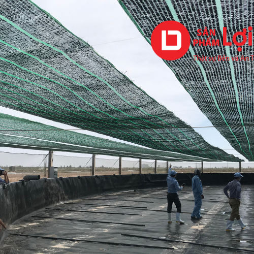 Lưới che nắng Thái Lan Golden Sun 7 17